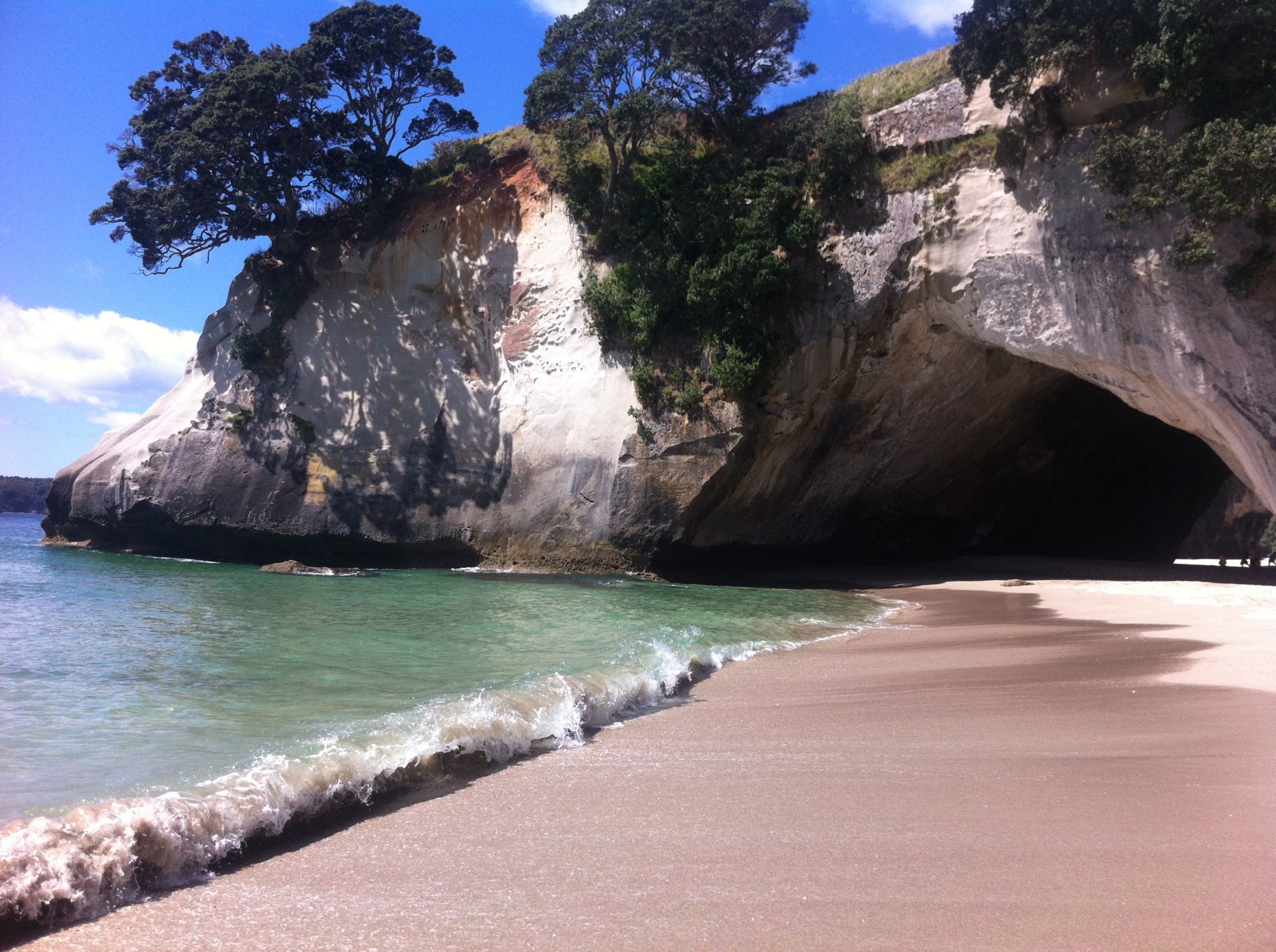 Experience NewZealand